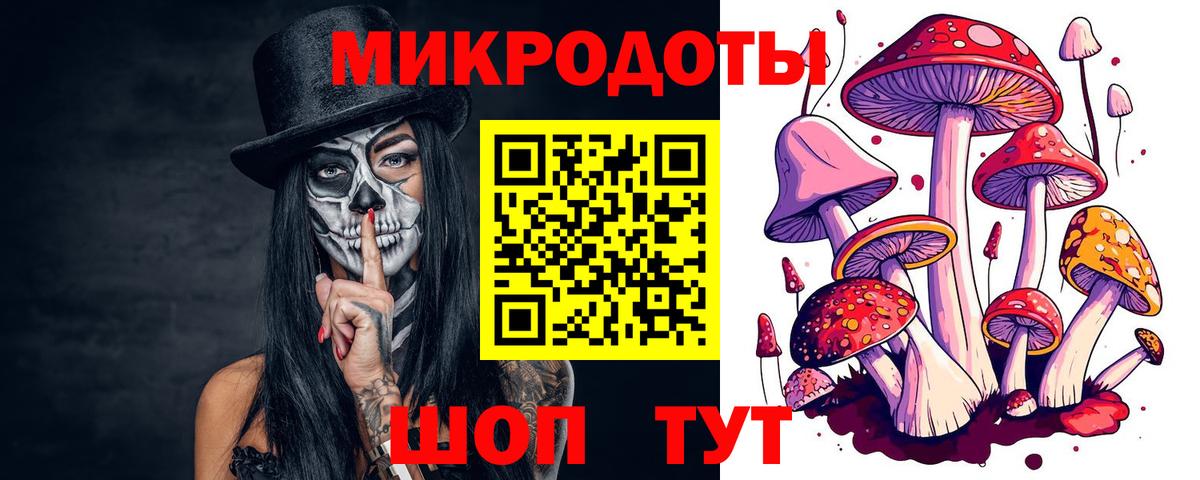 Галлюциногенные грибы Cubensis Белая Калитва